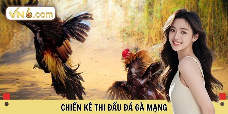 Chiến kê thi đấu gà mạng 