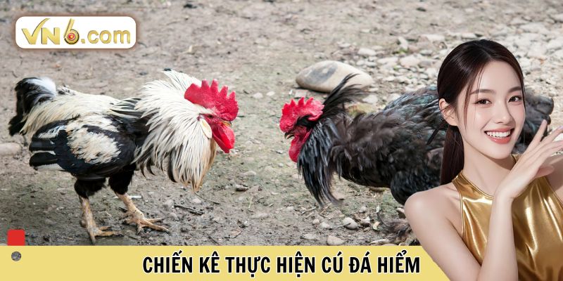 Chiến kê thực hiện cú đá hiểm