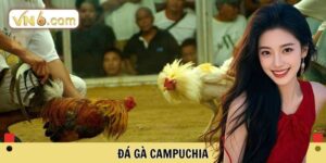 Đá gà Campuchia
