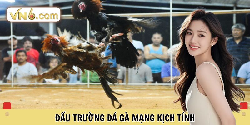 Đấu trường đá gà mạng kịch tính