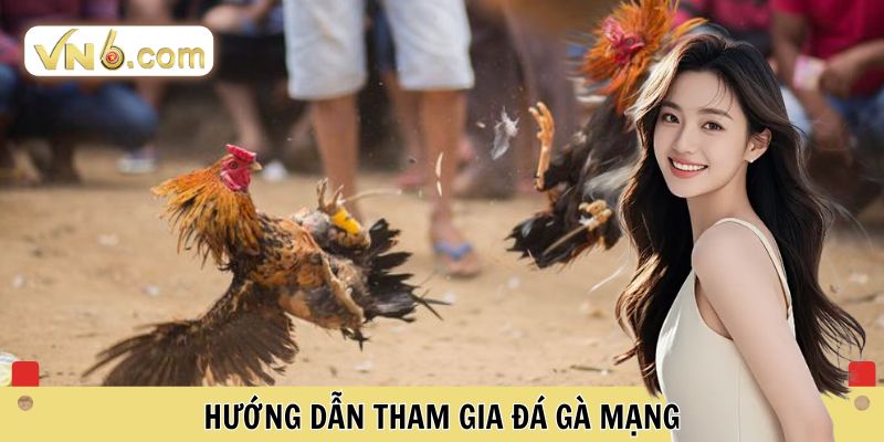 Hướng dẫn tham gia đá gà mạng 