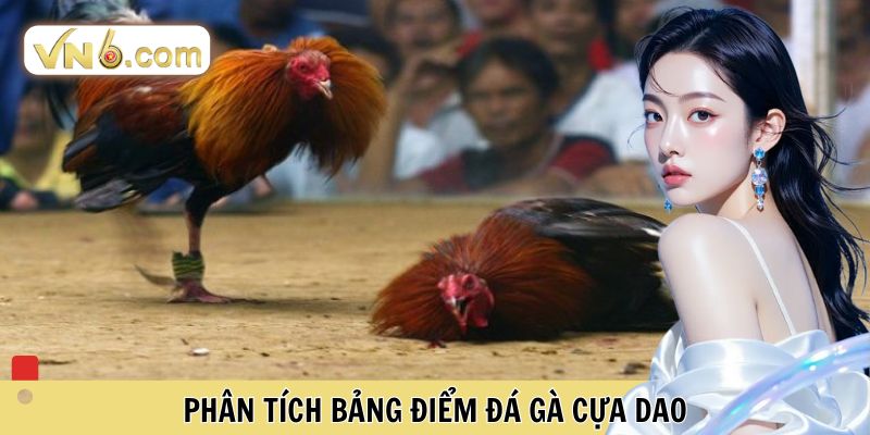 Phân tích bảng điểm đá gà cựa dao