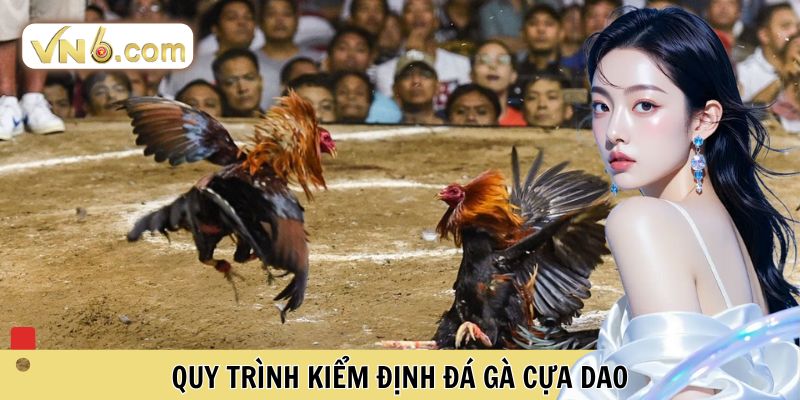 Quy trình kiểm định đá gà cựa dao